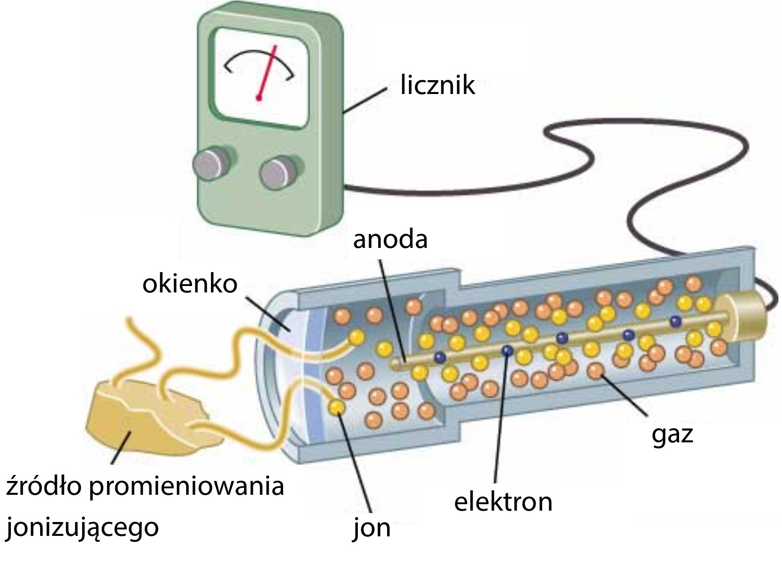 Zasada działania Licznika Geigera-Müllera
