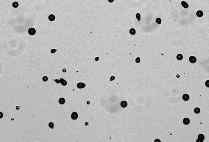 Ślady po działaniu promieniowania alfa na detektor CR-39
