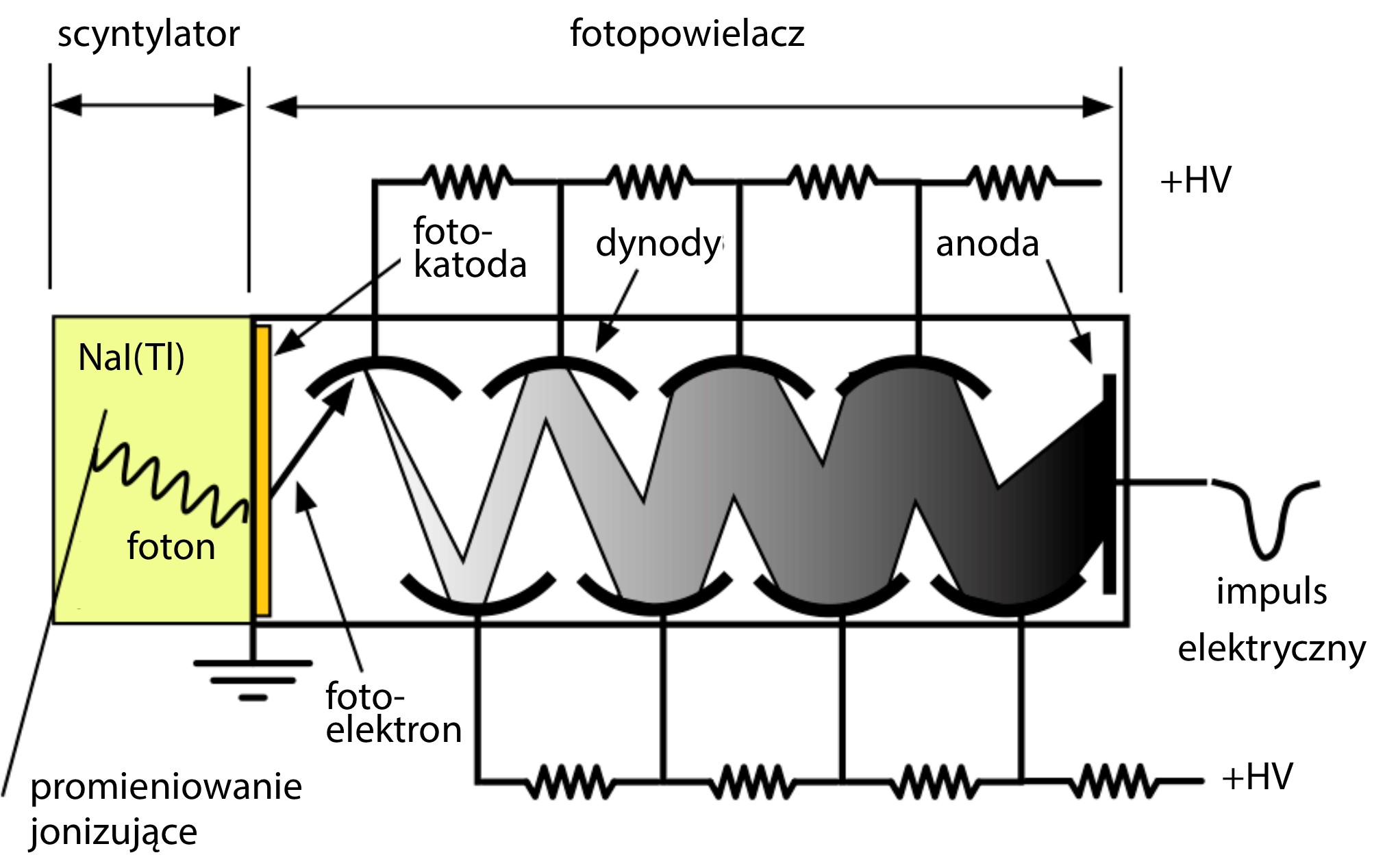 Rys. Zasada działania detektora scyntylacyjnego, źródło: brak danych, opracowanie własne
